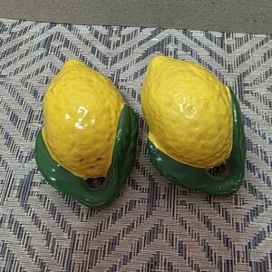 Replacement Hanging Lemon Shakers